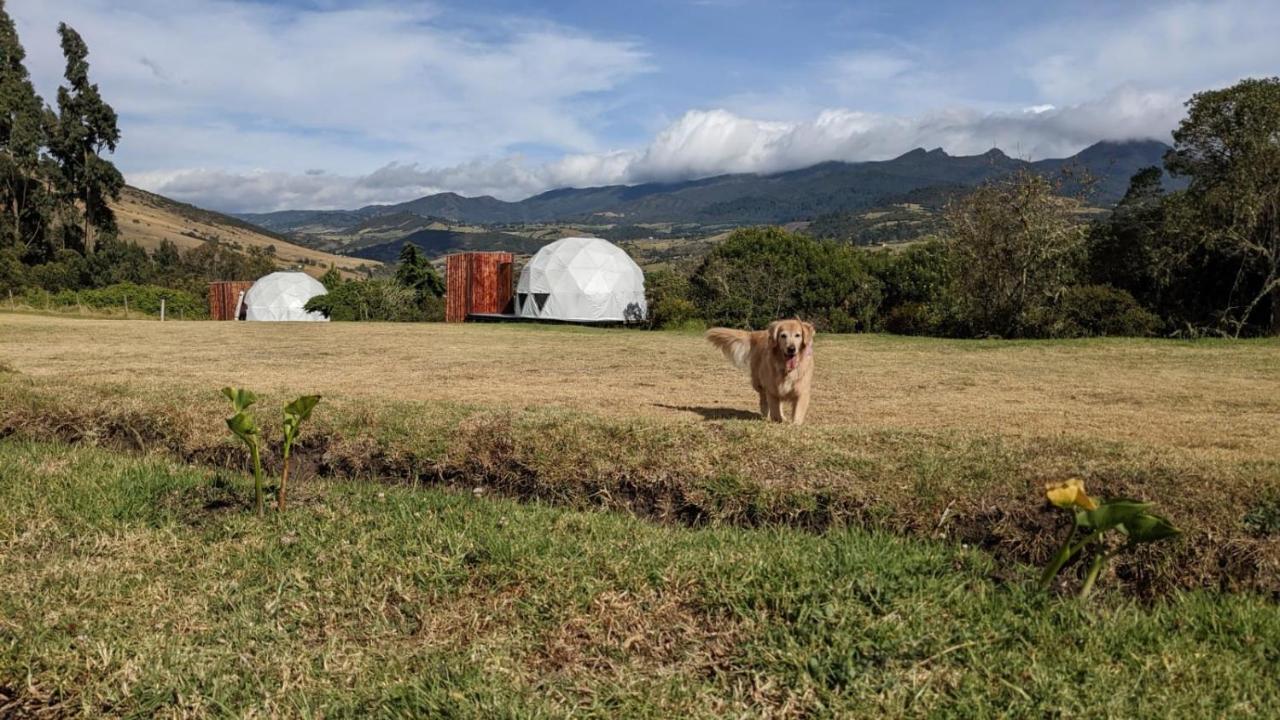 La Meca Glamping Hotel Guasca Exterior photo